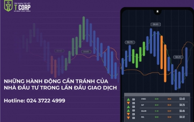 NHỮNG HÀNH ĐỘNG CẦN TRÁNH CỦA NHÀ ĐẦU TƯ TRONG LẦN ĐẦU GIAO DỊCH